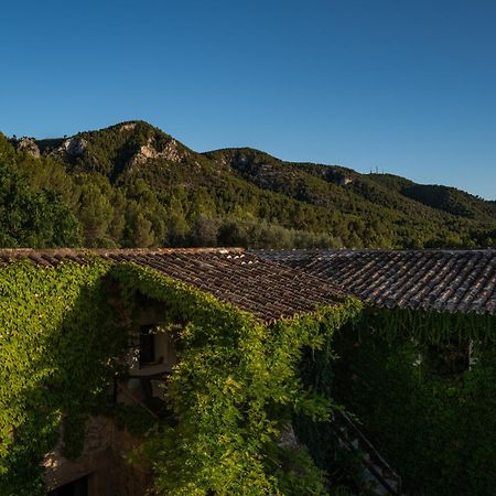 Agroturismo Son Boronat Calvia  Bagian luar foto