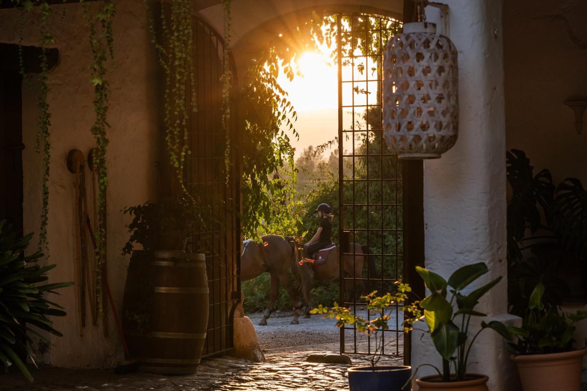 Agroturismo Son Boronat Calvia  Bagian luar foto