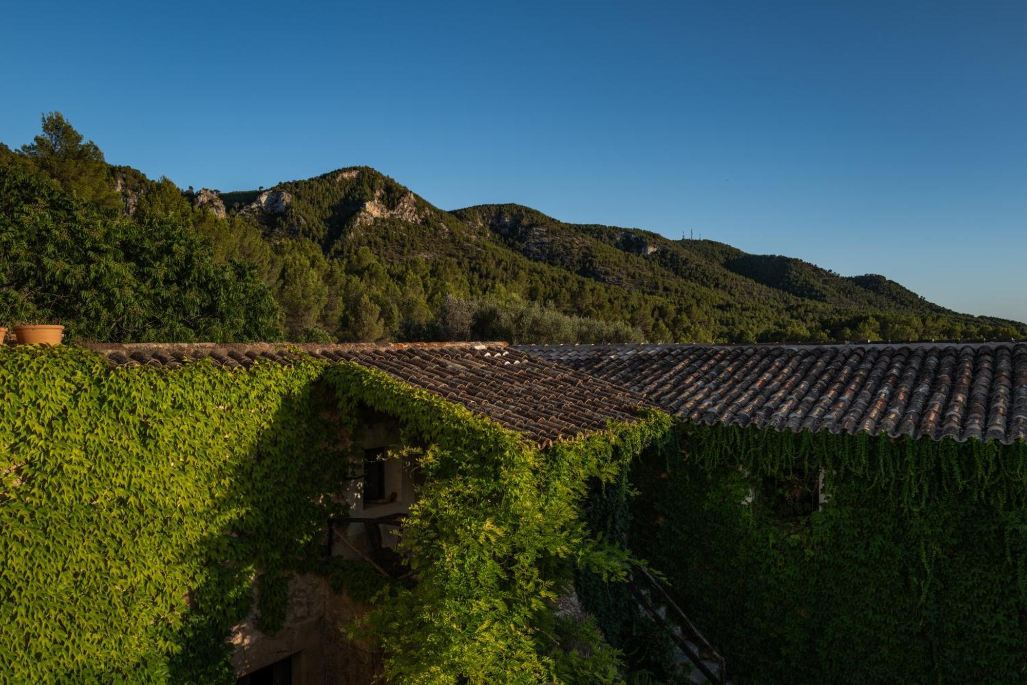 Agroturismo Son Boronat Calvia  Bagian luar foto